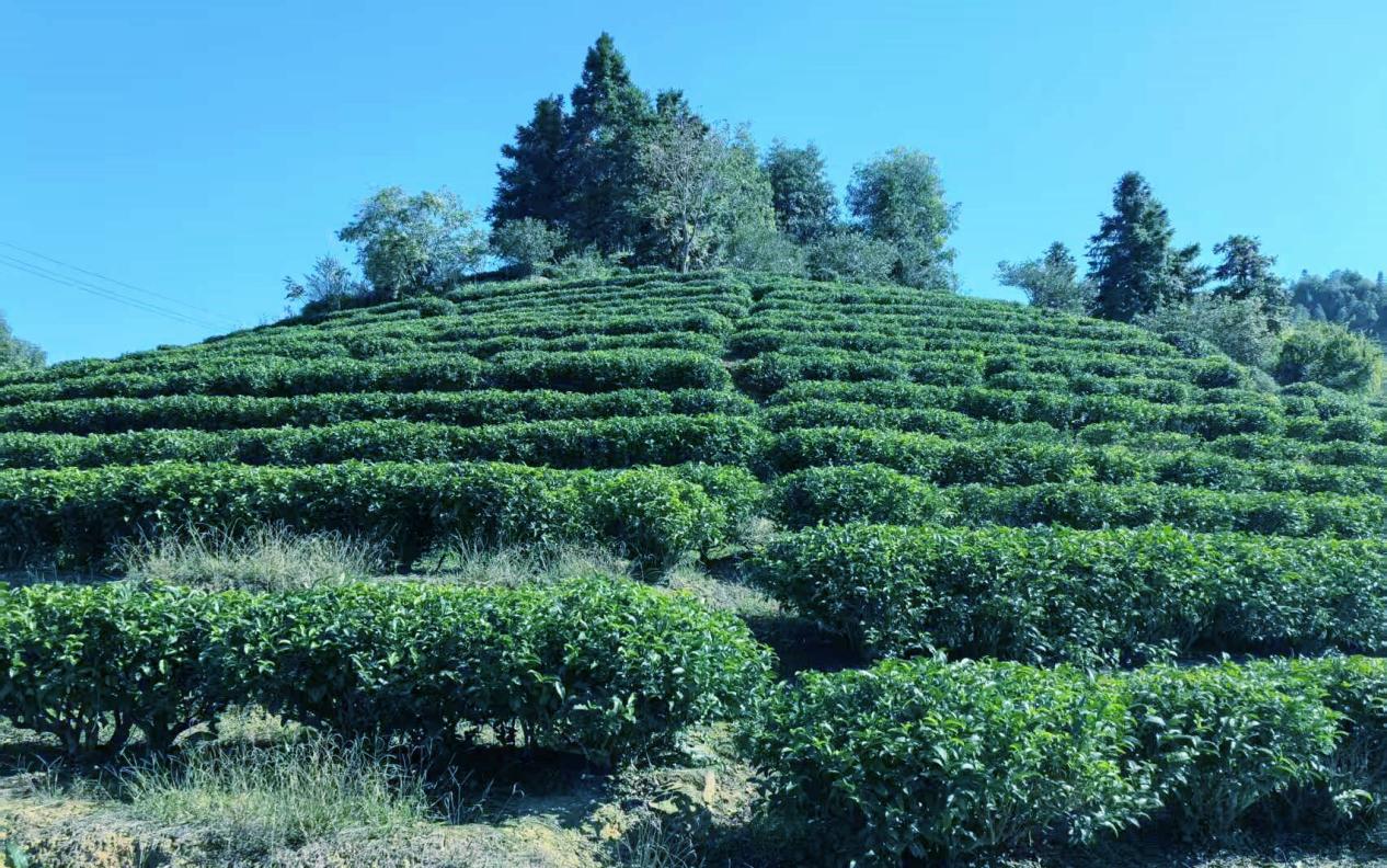 微信圖片_20251120165554_222_486