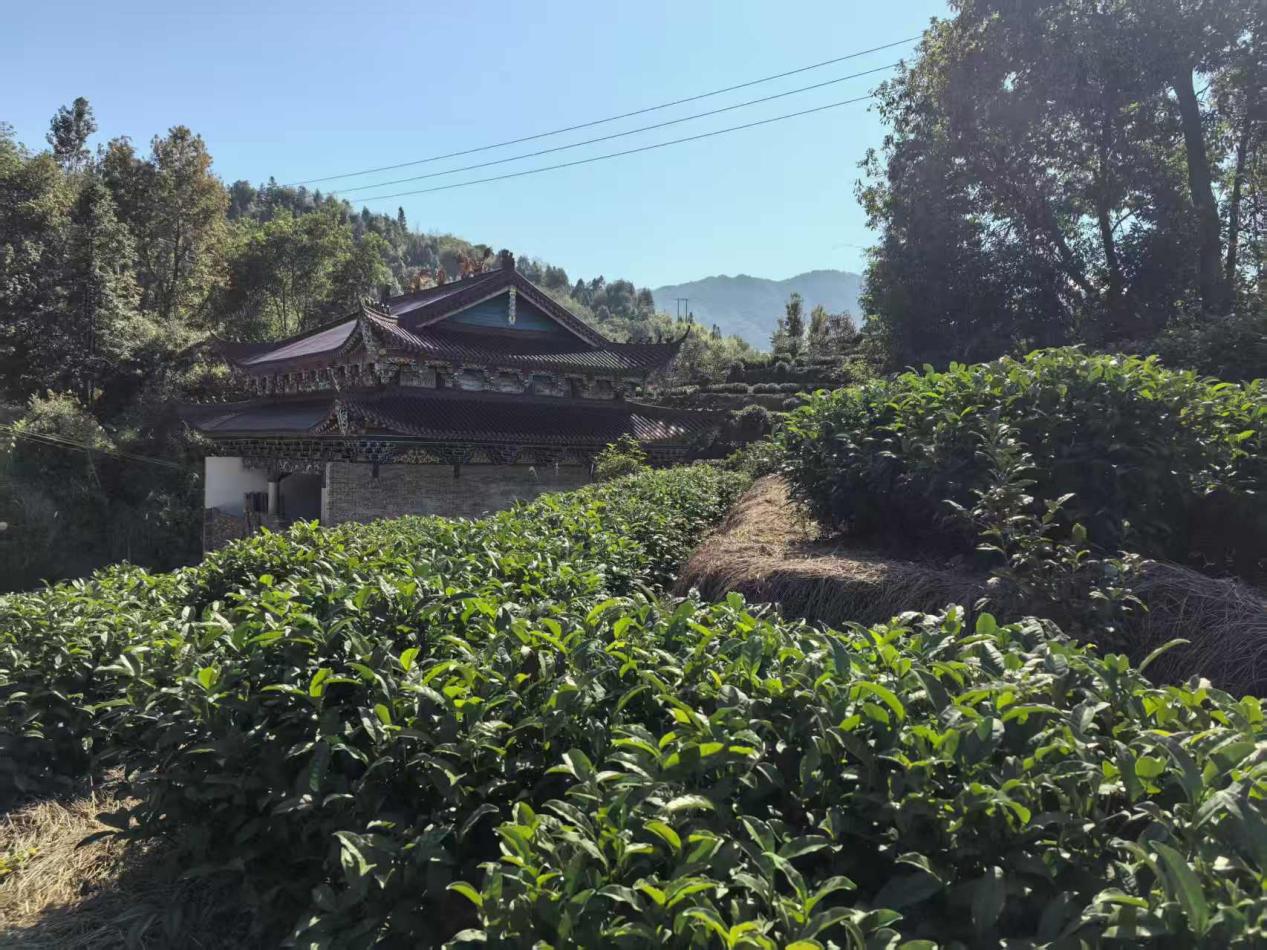 微信圖片_20251120165602_227_486