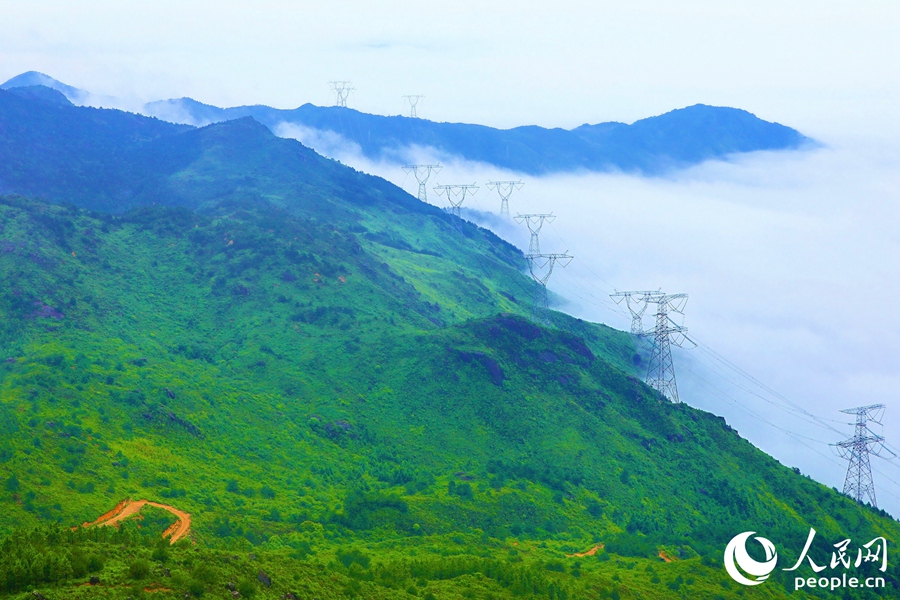周宁县是华东地区海拔最高县，平均海拔800米，森林覆盖率近70%，负氧离子浓度高达11208个/立方厘米。人民网记者 李唯一摄